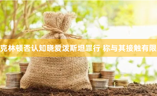 克林顿否认知晓爱泼斯坦罪行 称与其接触有限