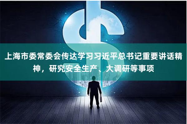 上海市委常委会传达学习习近平总书记重要讲话精神，研究安全生产、大调研等事项